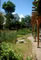 'Biotope Garden' at the heart of the courtyard, facing the 'Day Home Cnter' on the right