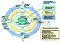 PDCA cycle of energy-saving operation