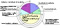 Figure C2: State of natural ventilation and operation of ceiling fans in October 2003